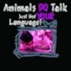 Animals DO talk  girls  lions4